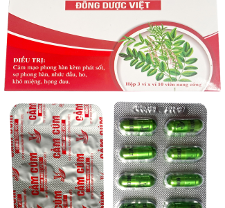 Cảm c&uacute;m